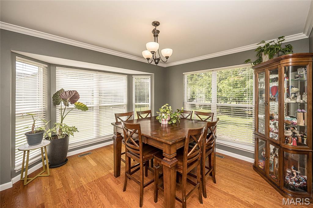 7313 Cinnamon Teal Drive