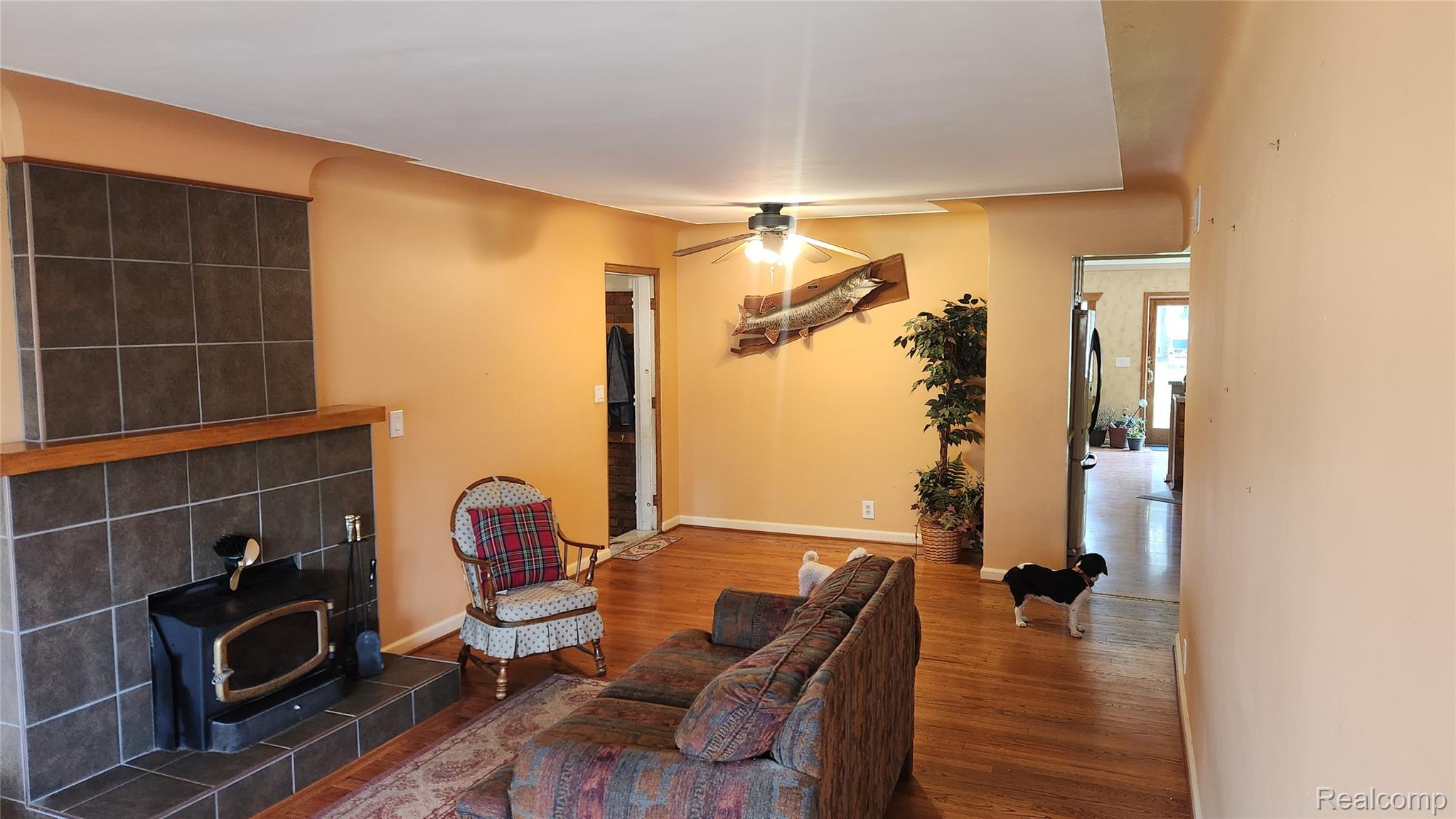 29513 Greenland Street