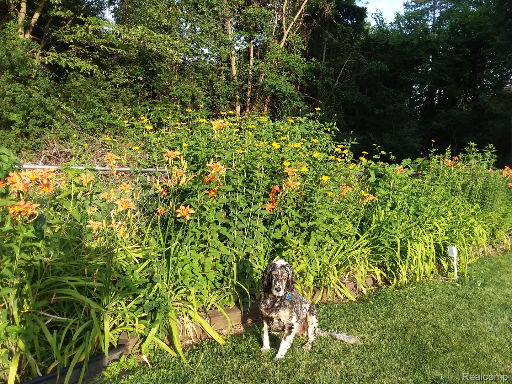 29513 Greenland Street