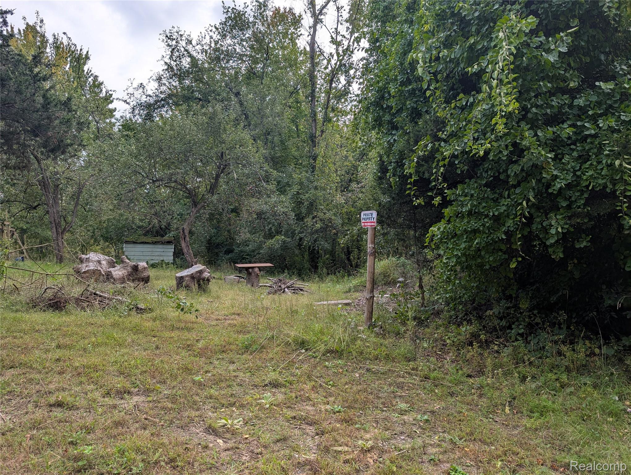 Wooded property clearing with cut stumps, a small shed, and a private property sign.