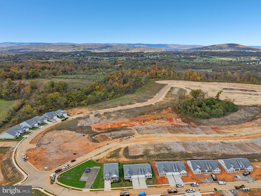 116 TRELLIS VIEW LANE