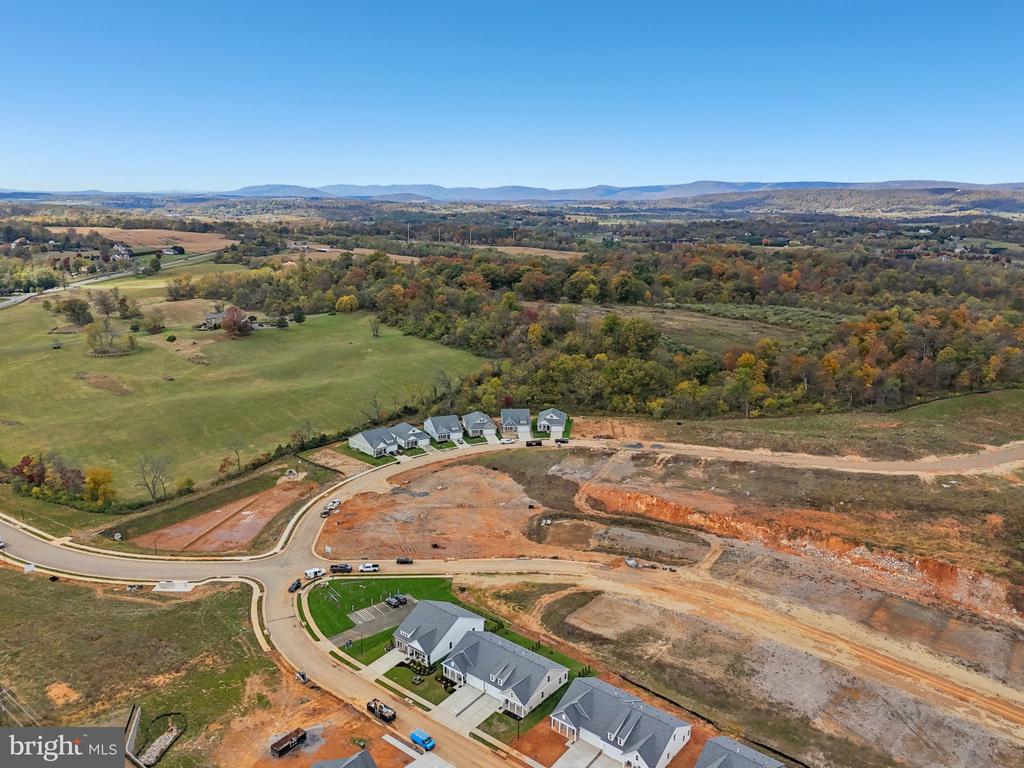 116 TRELLIS VIEW LANE