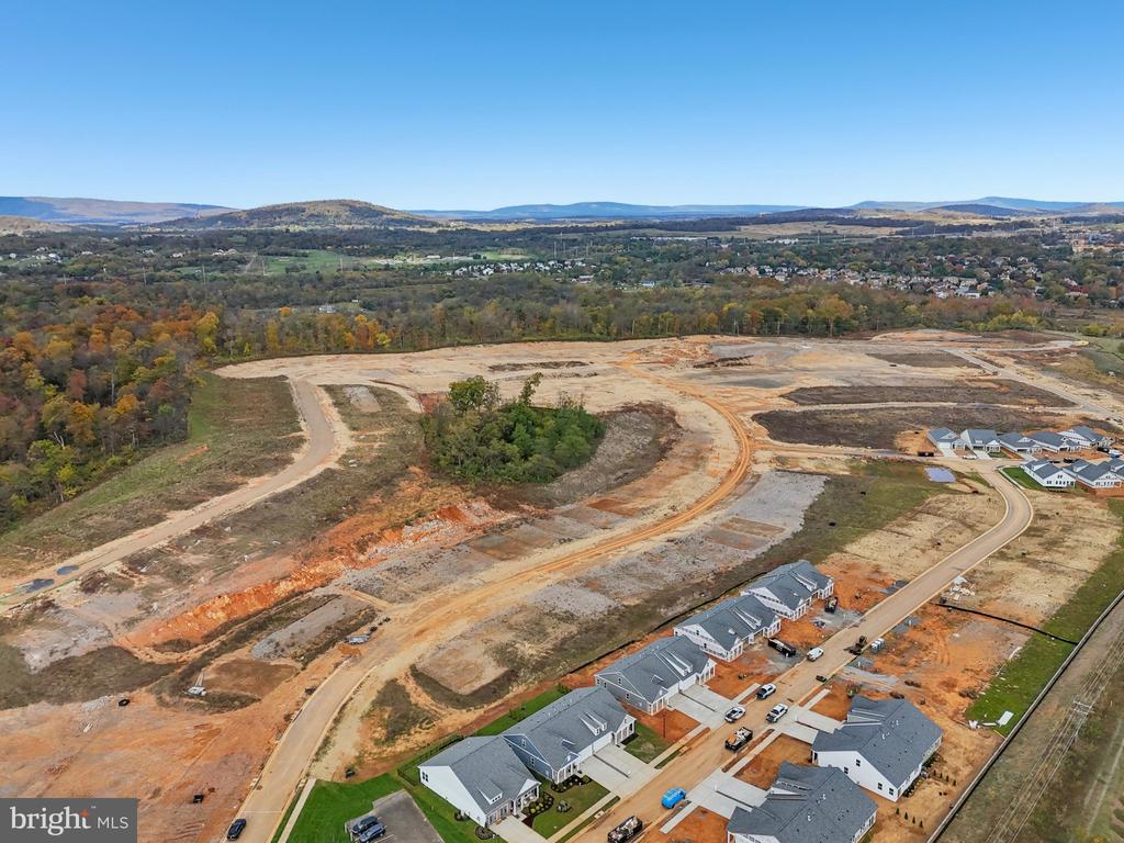 116 TRELLIS VIEW LANE