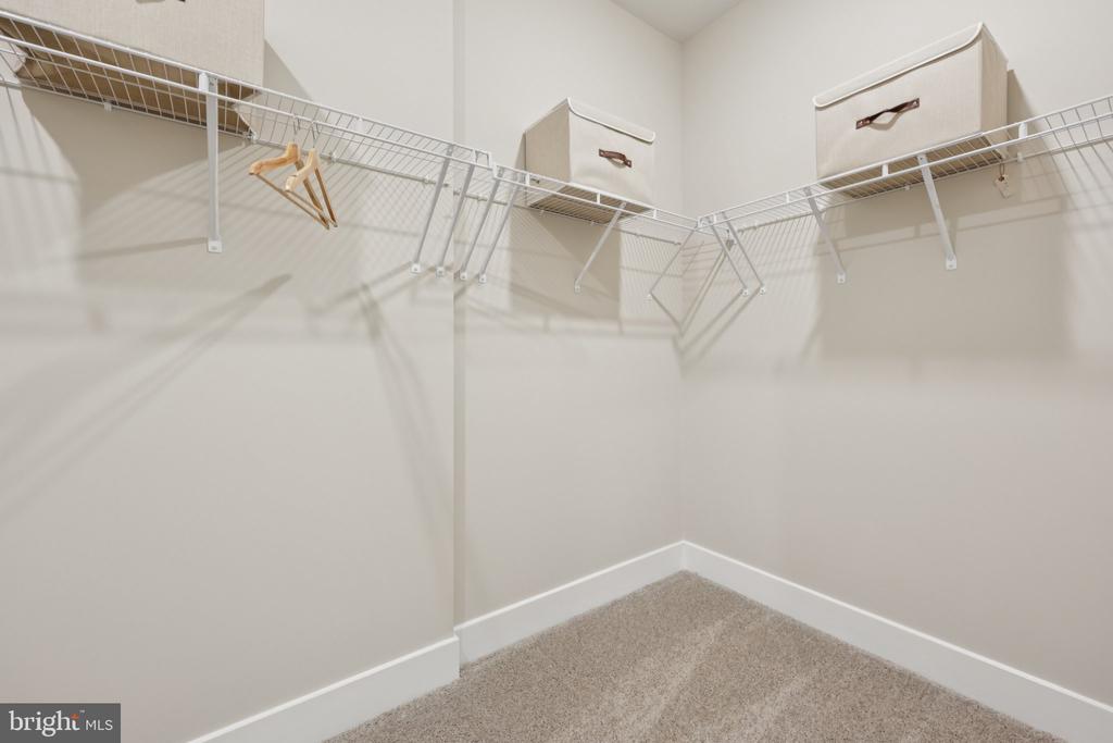 116 TRELLIS VIEW LANE