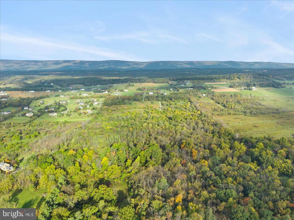 4035 CEDAR CREEK GRADE