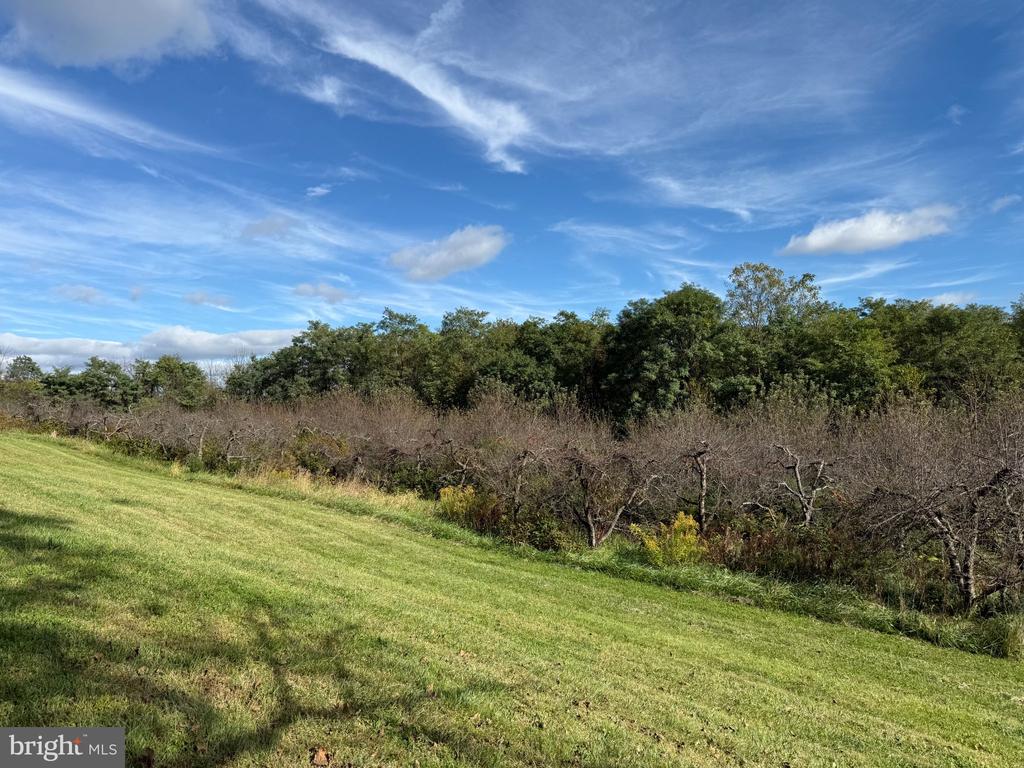Lot 7 and 4035 CEDAR CREEK GRADE