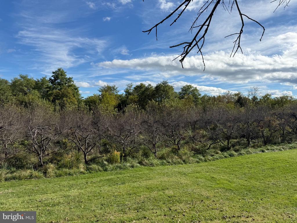 Lot 7 and 4035 CEDAR CREEK GRADE