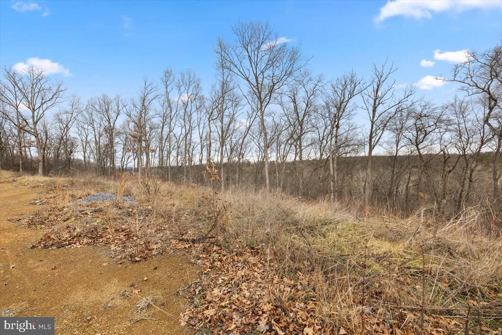 Lot A SPECKS RUN ROAD