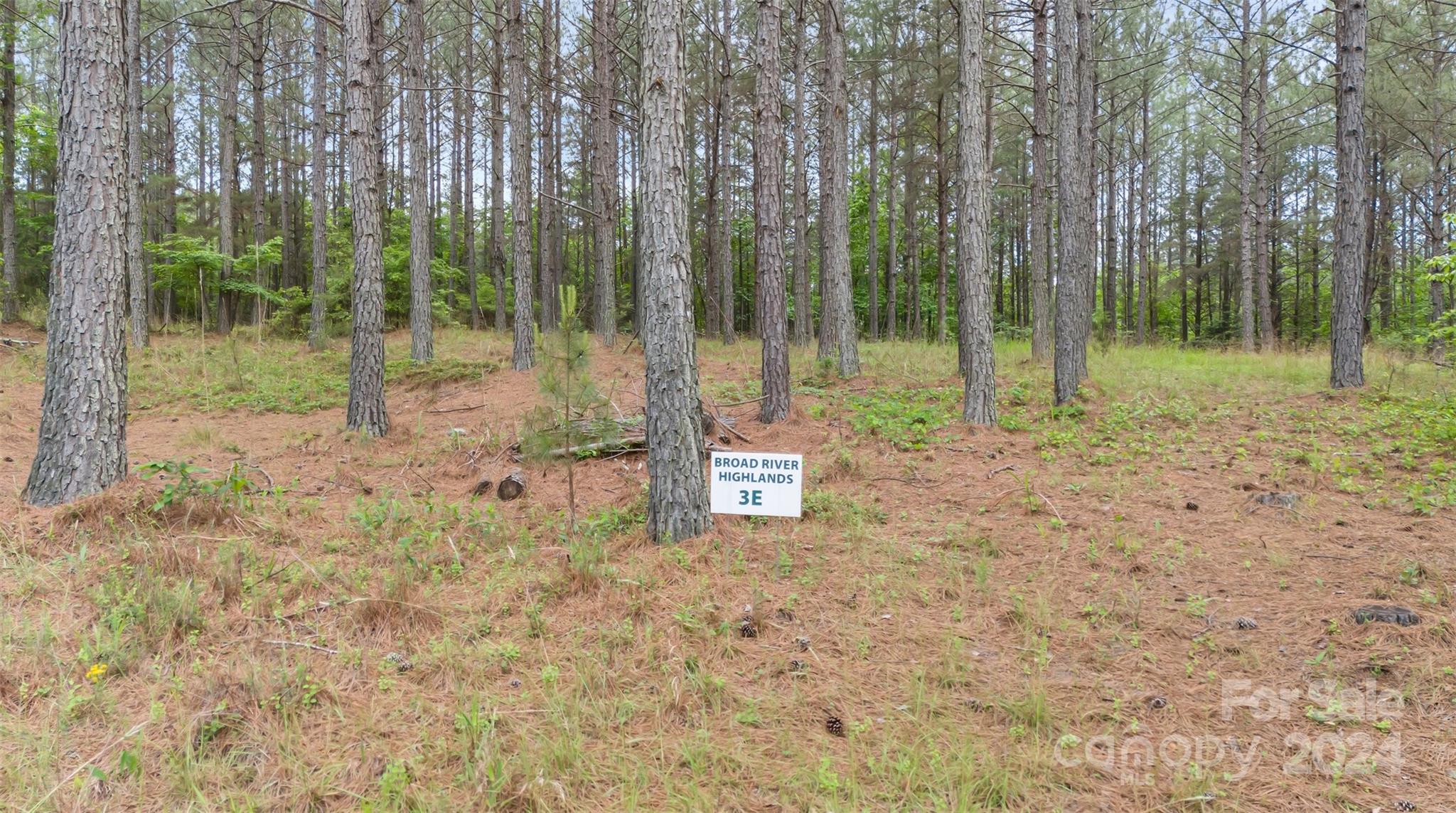 00 Broad River Highlands, 3-E, Drive