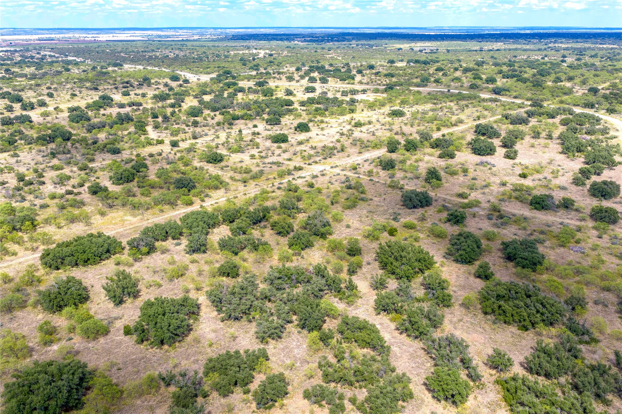 Aerial view of brush-covered acreage with scattered trees, dirt tracks, and distant water.