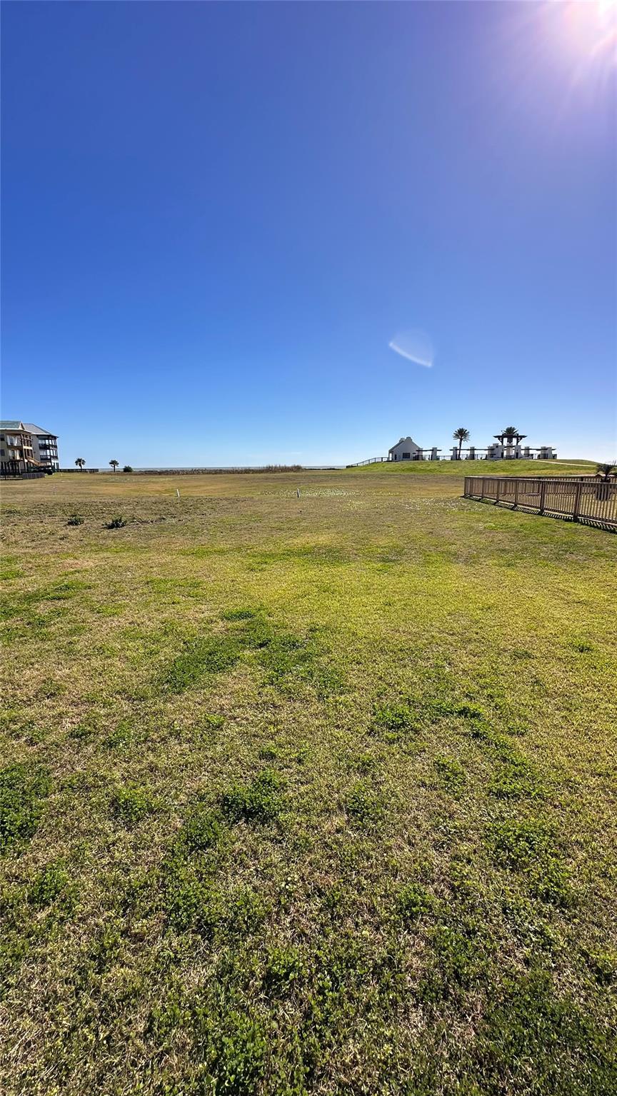 410 Seagrass