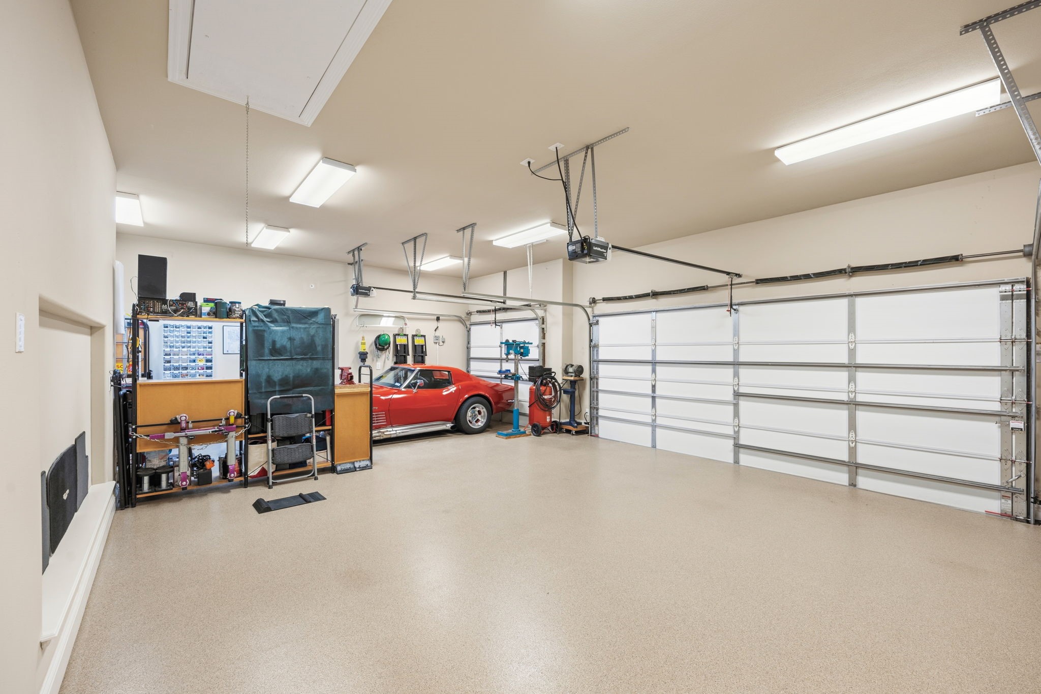 123 Freesia Drive