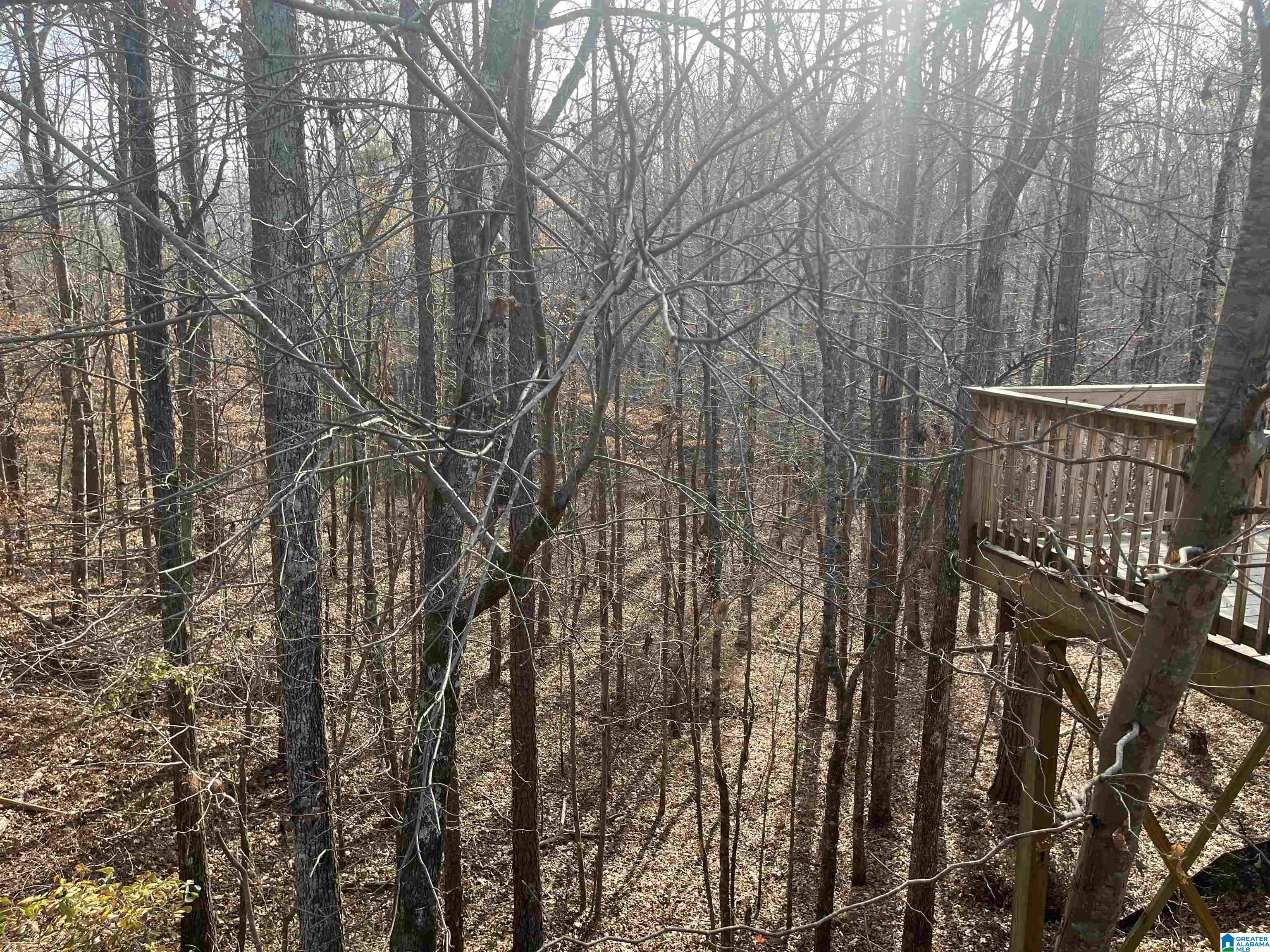 110 DEER CREEK DRIVE