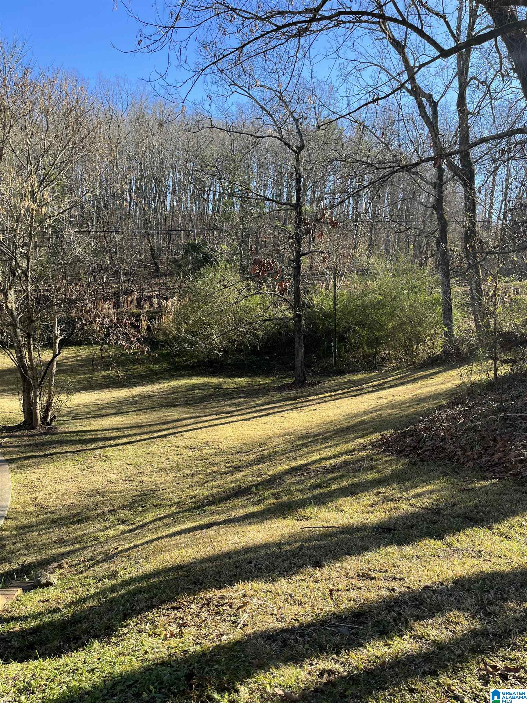 1156 DEARING DOWNS DRIVE