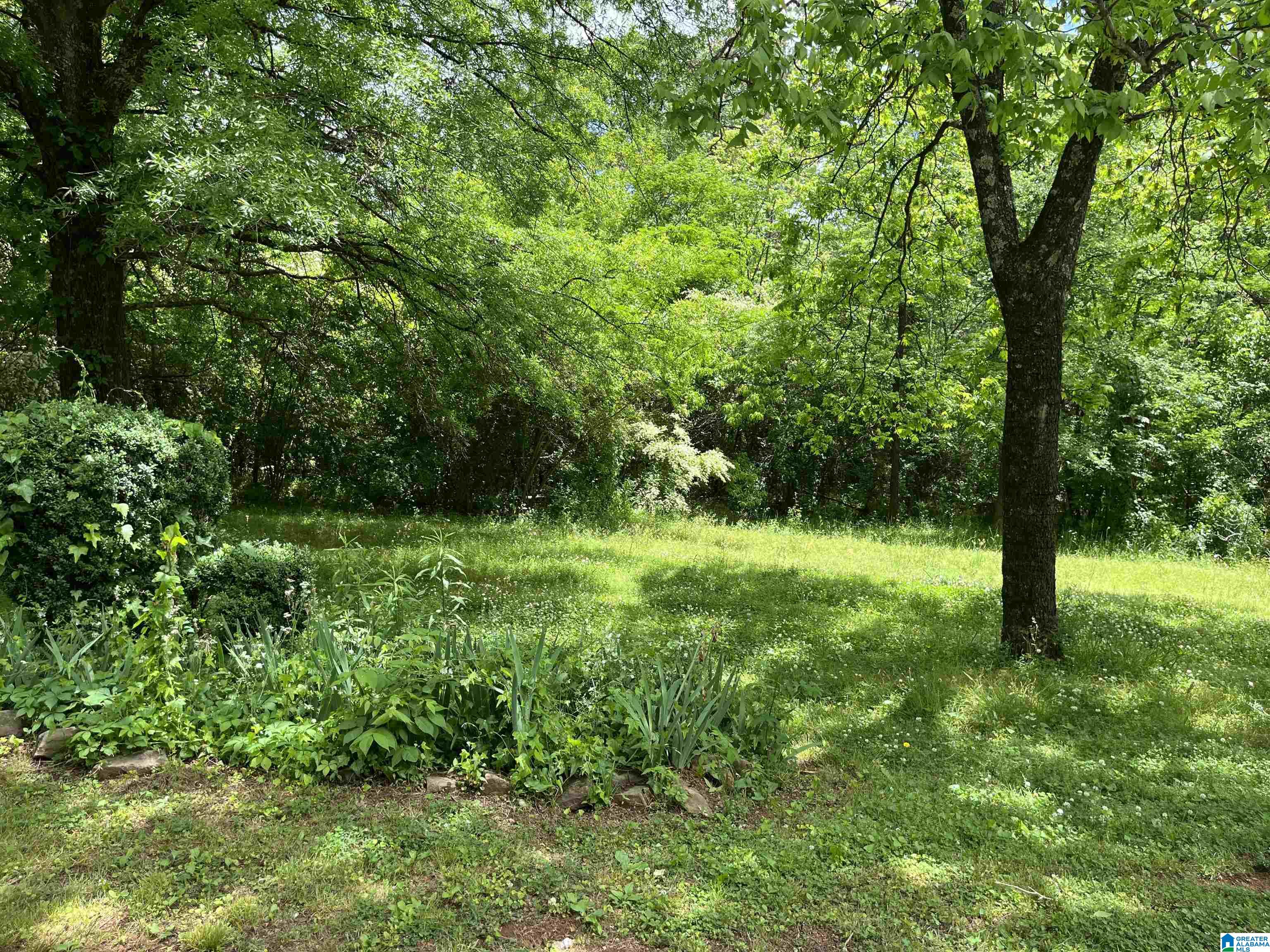 1661 BIG MOUNTAIN DRIVE