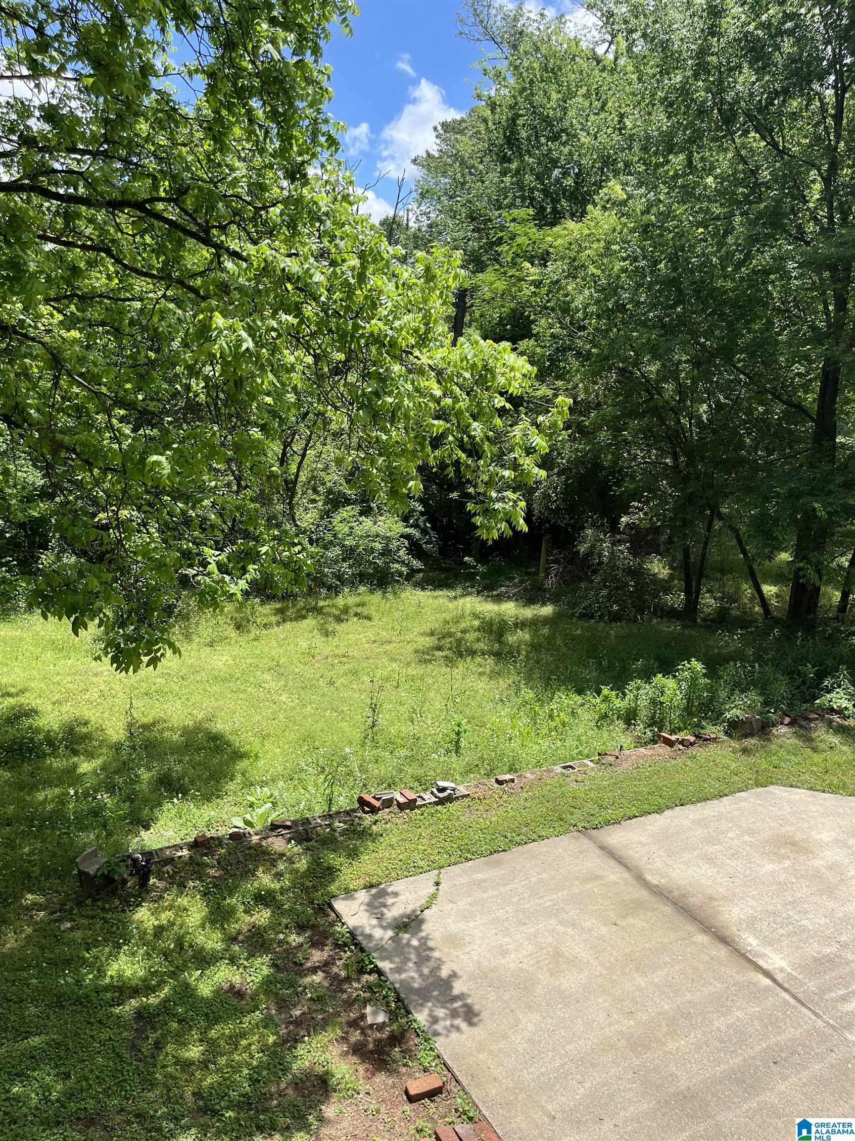 1661 BIG MOUNTAIN DRIVE