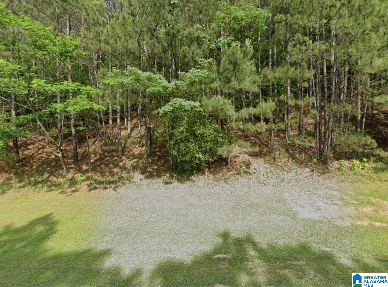 1461 BROCKS GAP PARKWAY 001