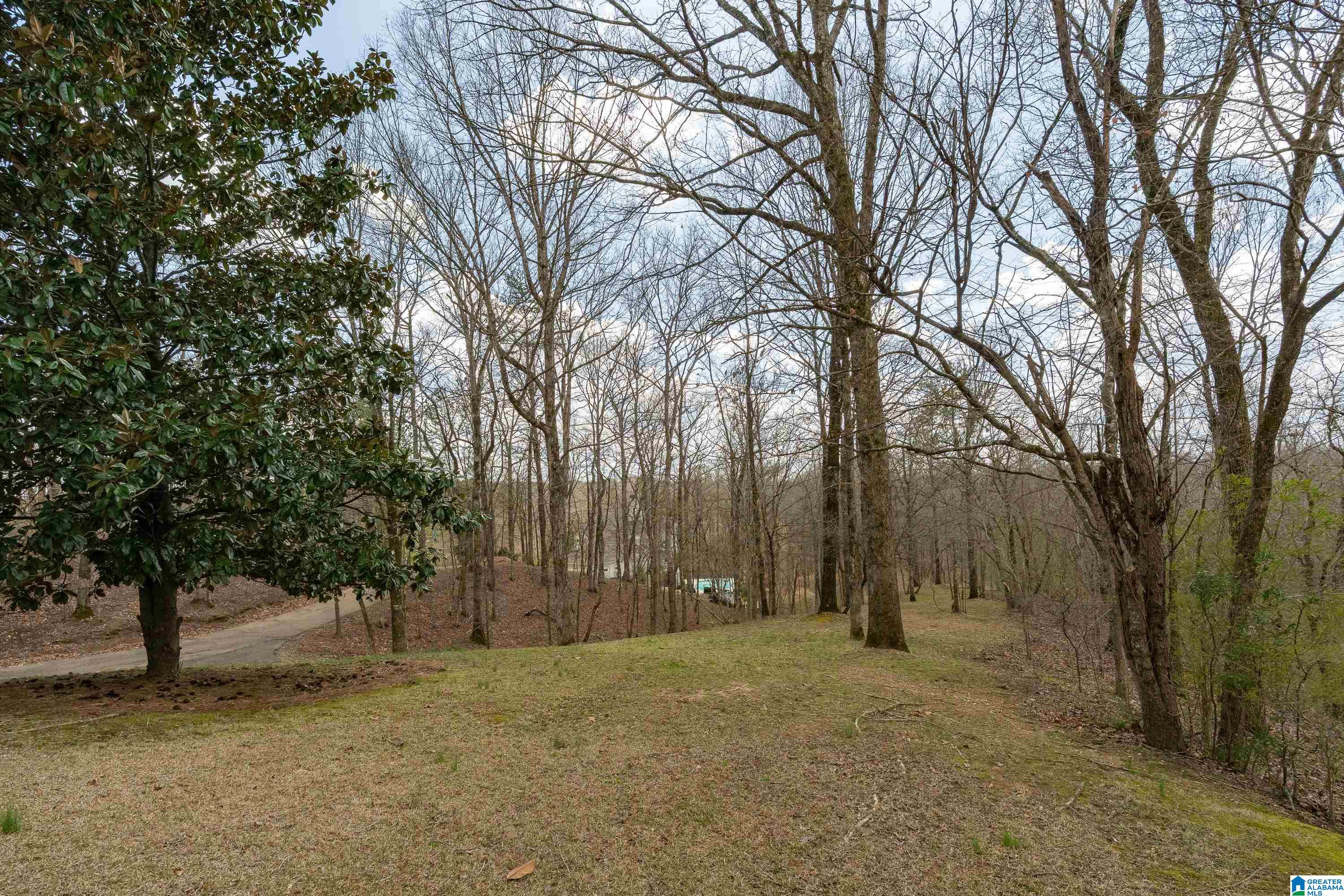 300 CAHABA FALLS LANE