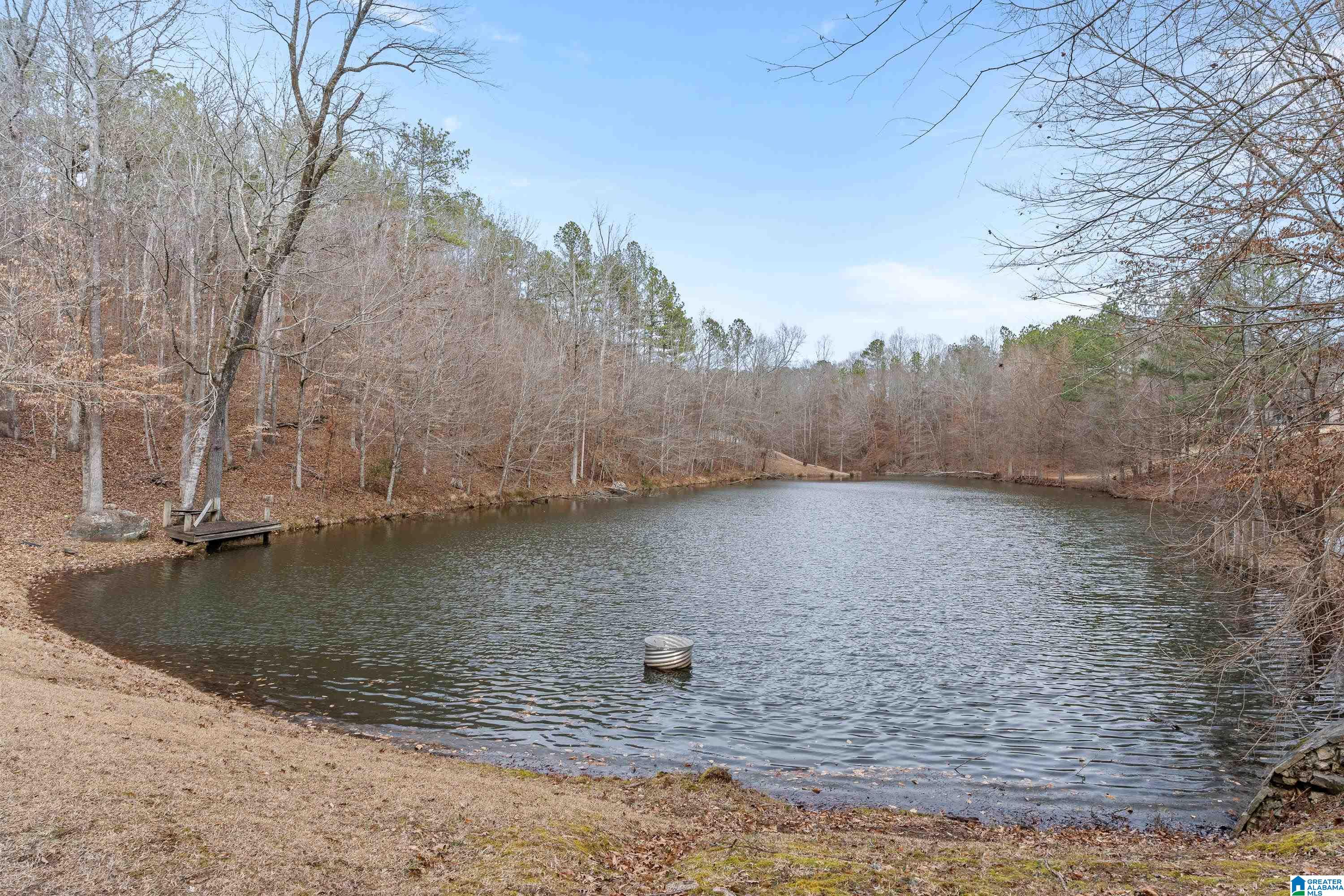300 CAHABA FALLS LANE