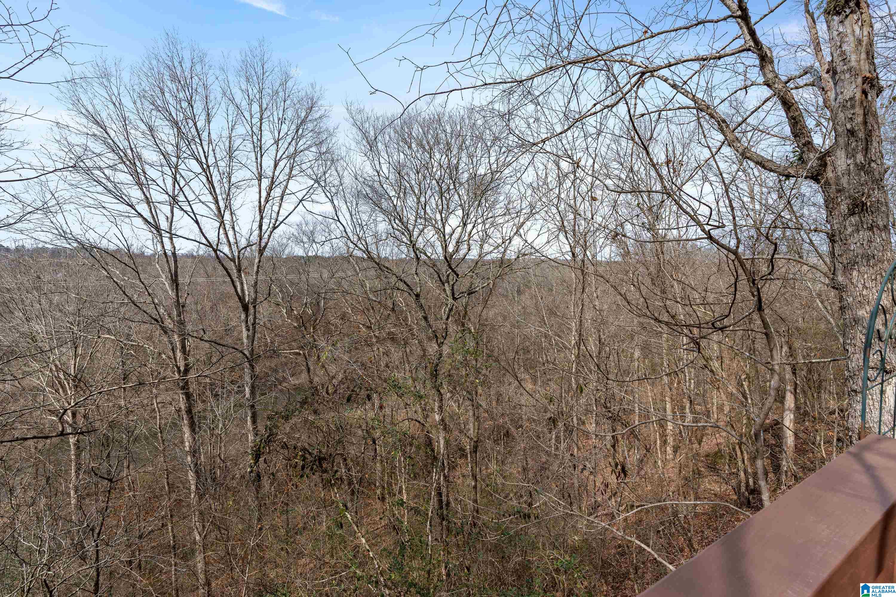 300 CAHABA FALLS LANE