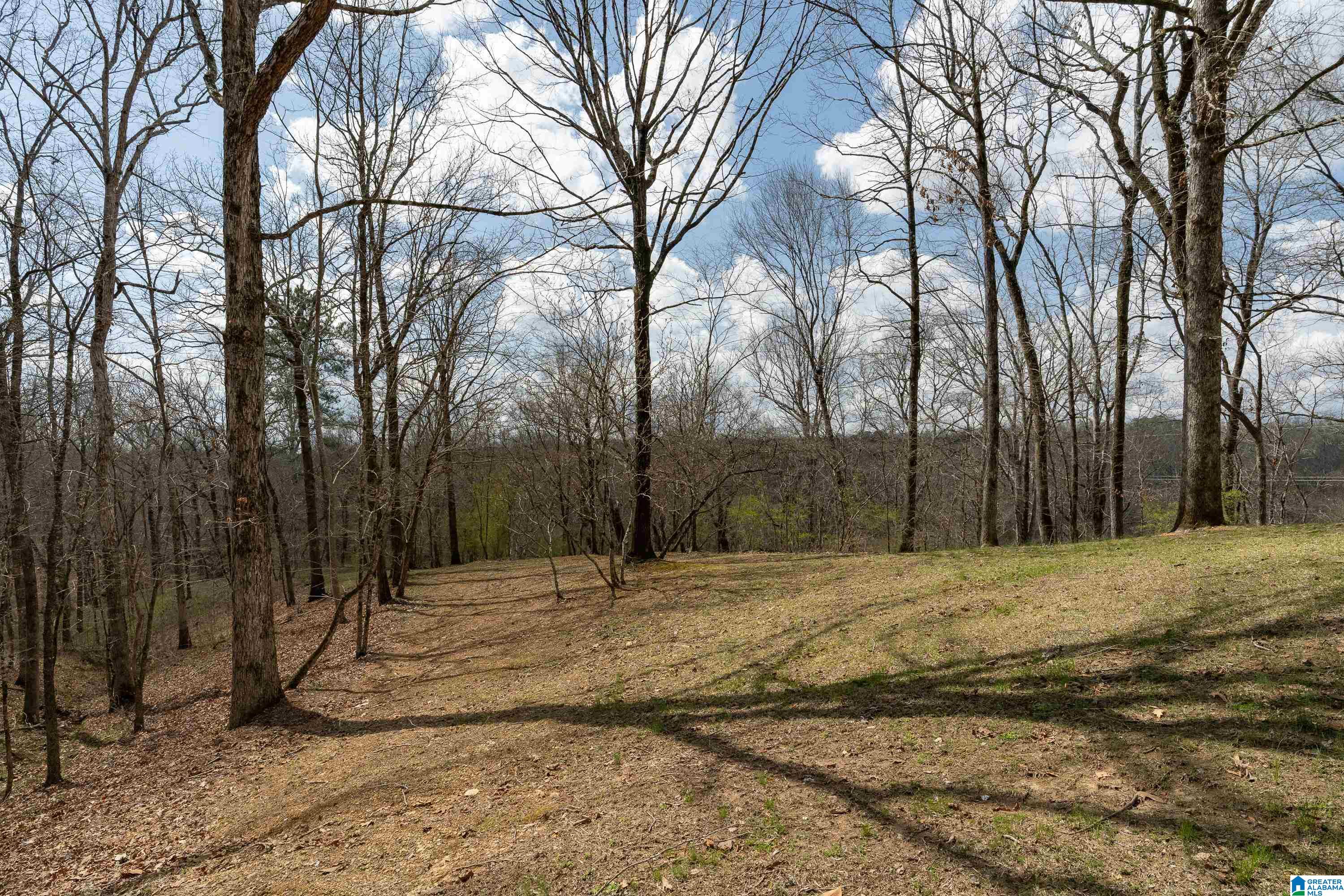 300 CAHABA FALLS LANE