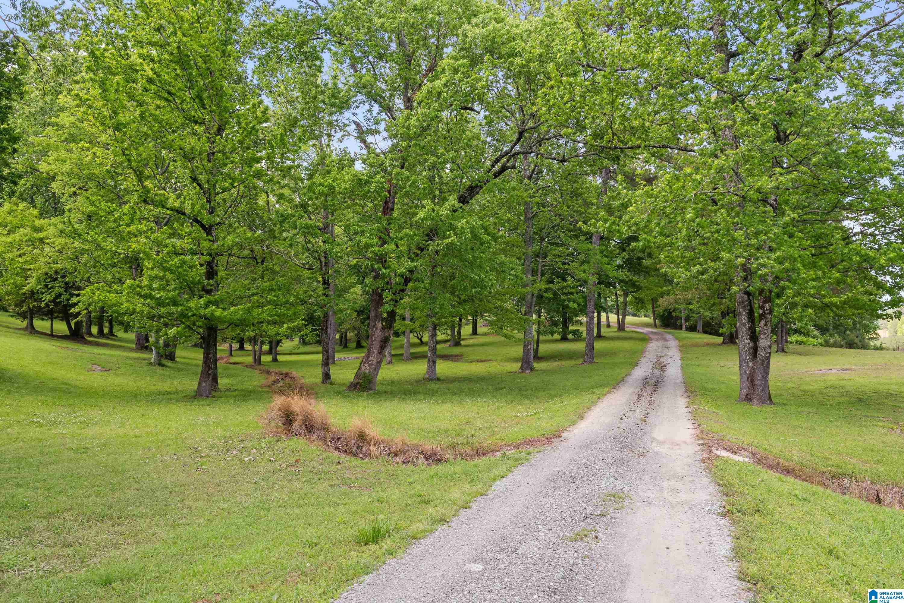 3671 WHITE ROAD