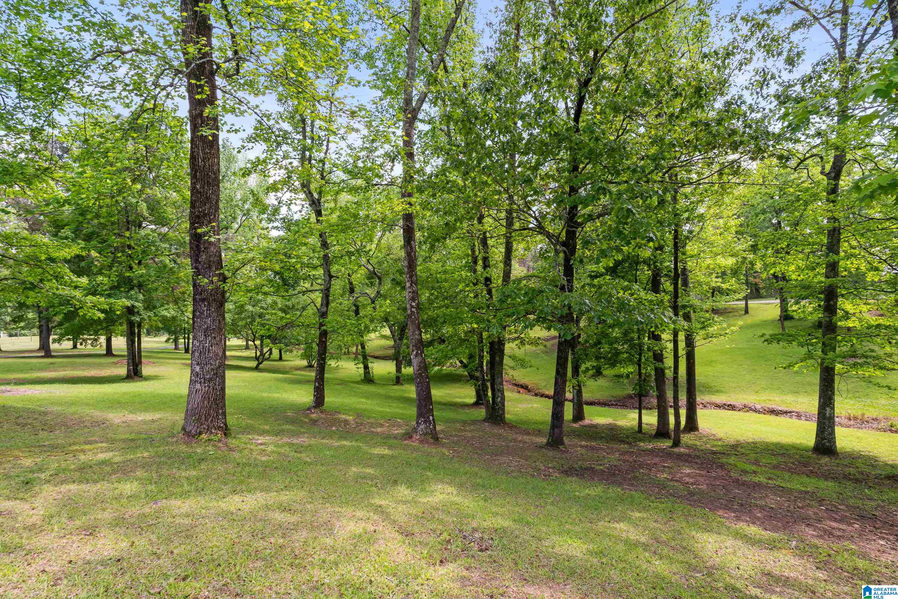 3671 WHITE ROAD