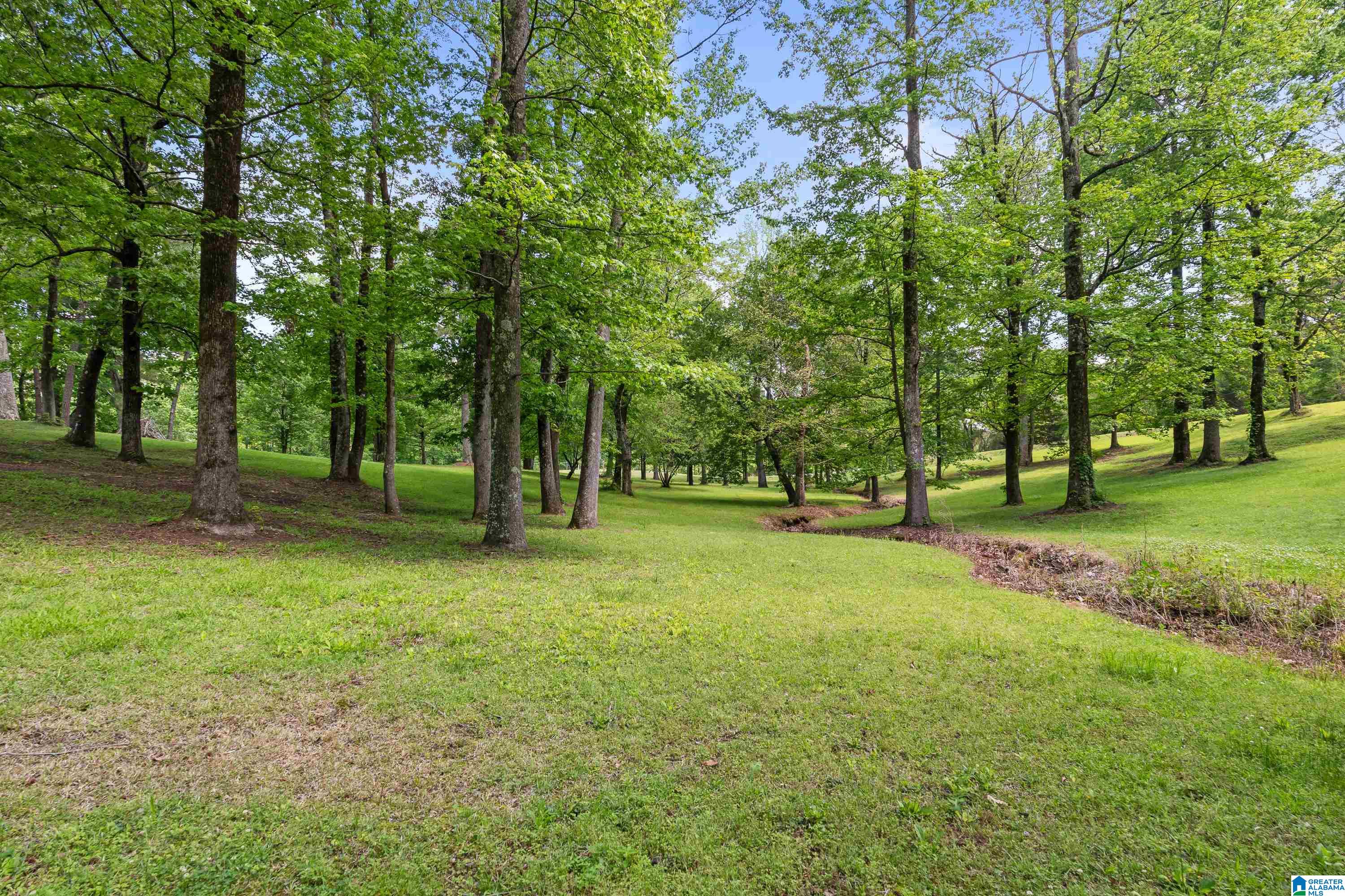 3671 WHITE ROAD