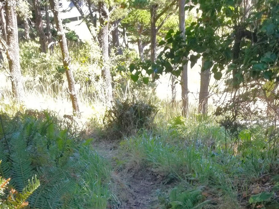Coast Guard Hill RD