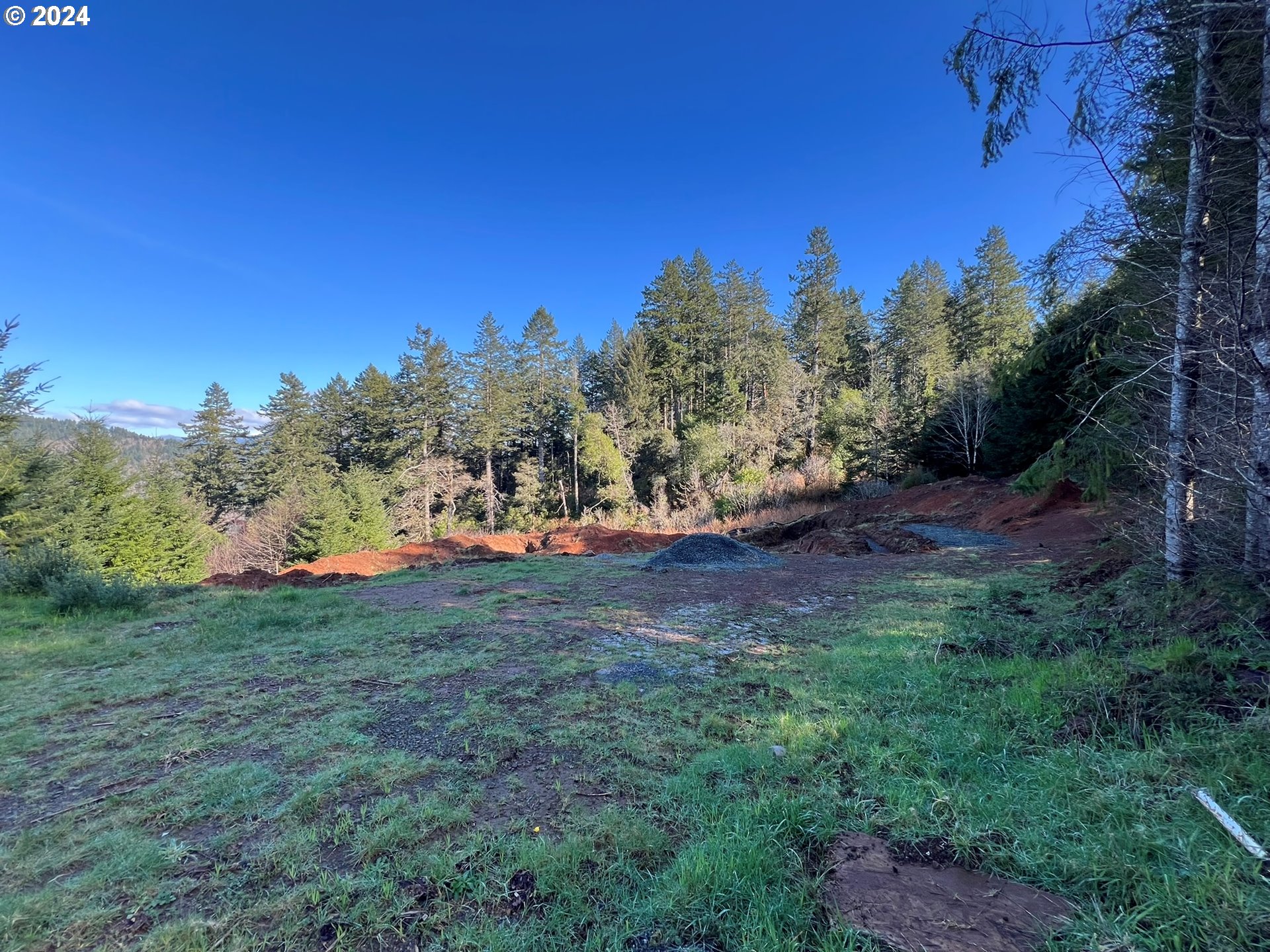 98215 Sunforest CT 14