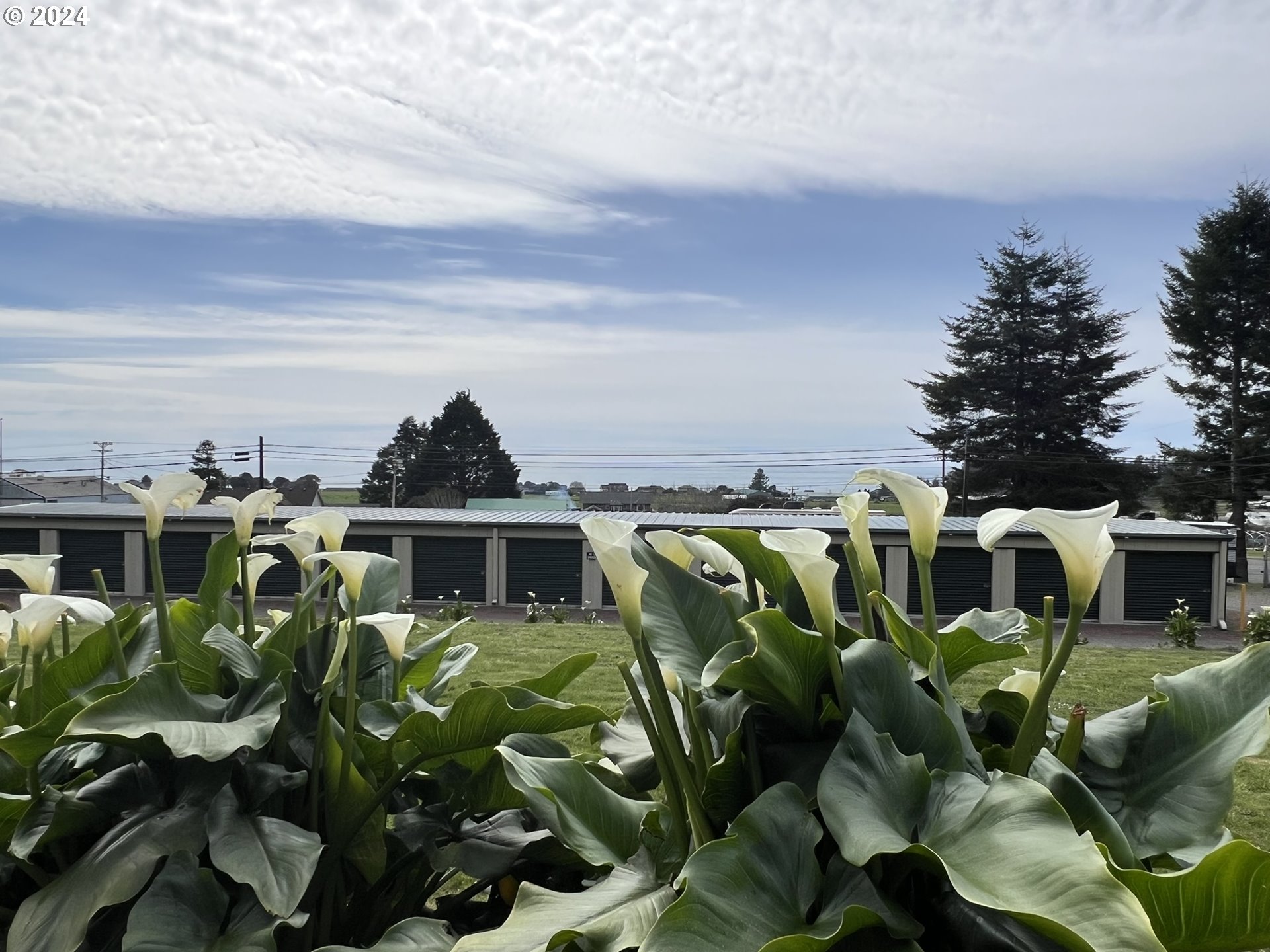 15549 Highway 101 S
