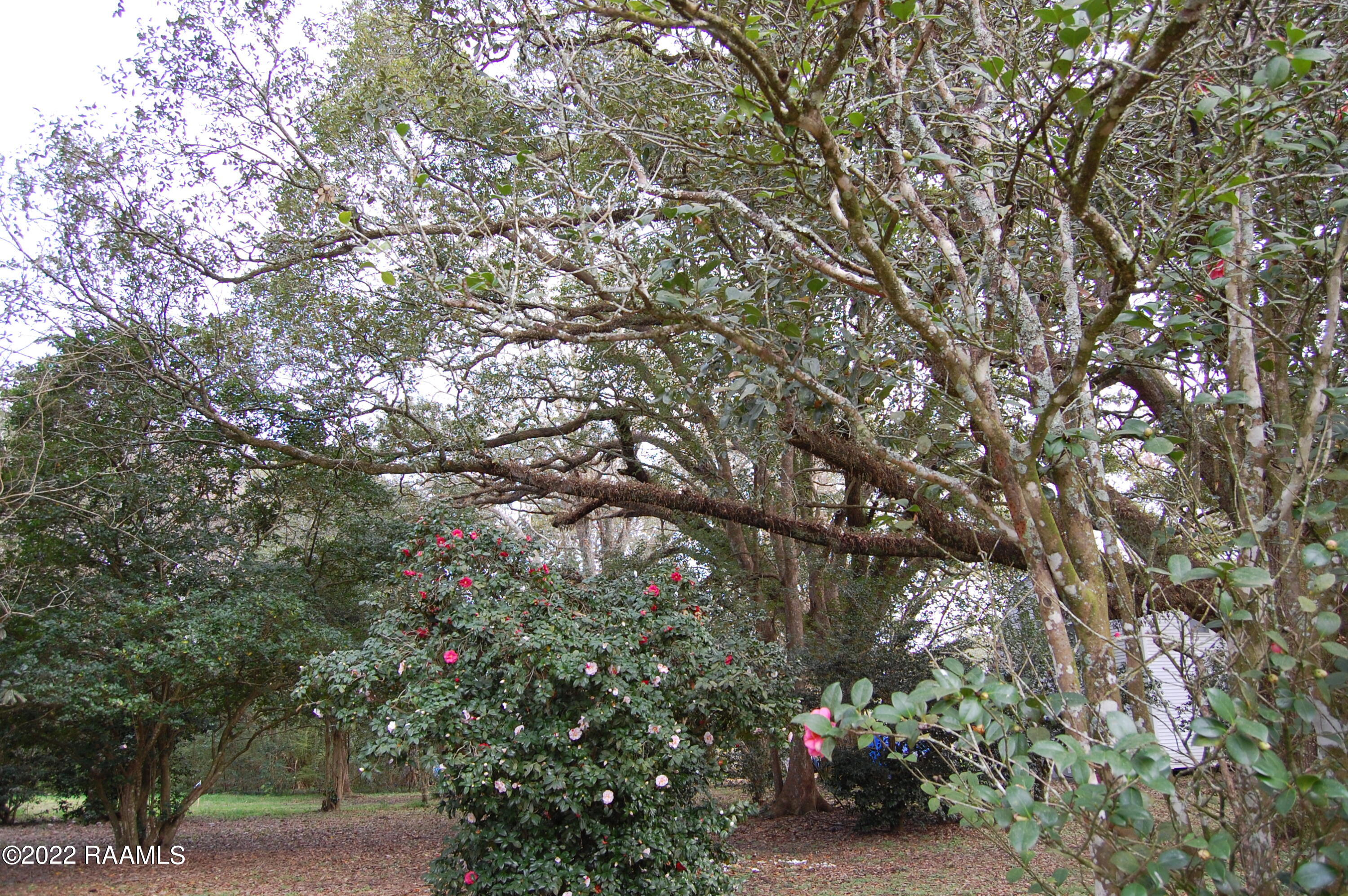 226 Grand Manor Drive