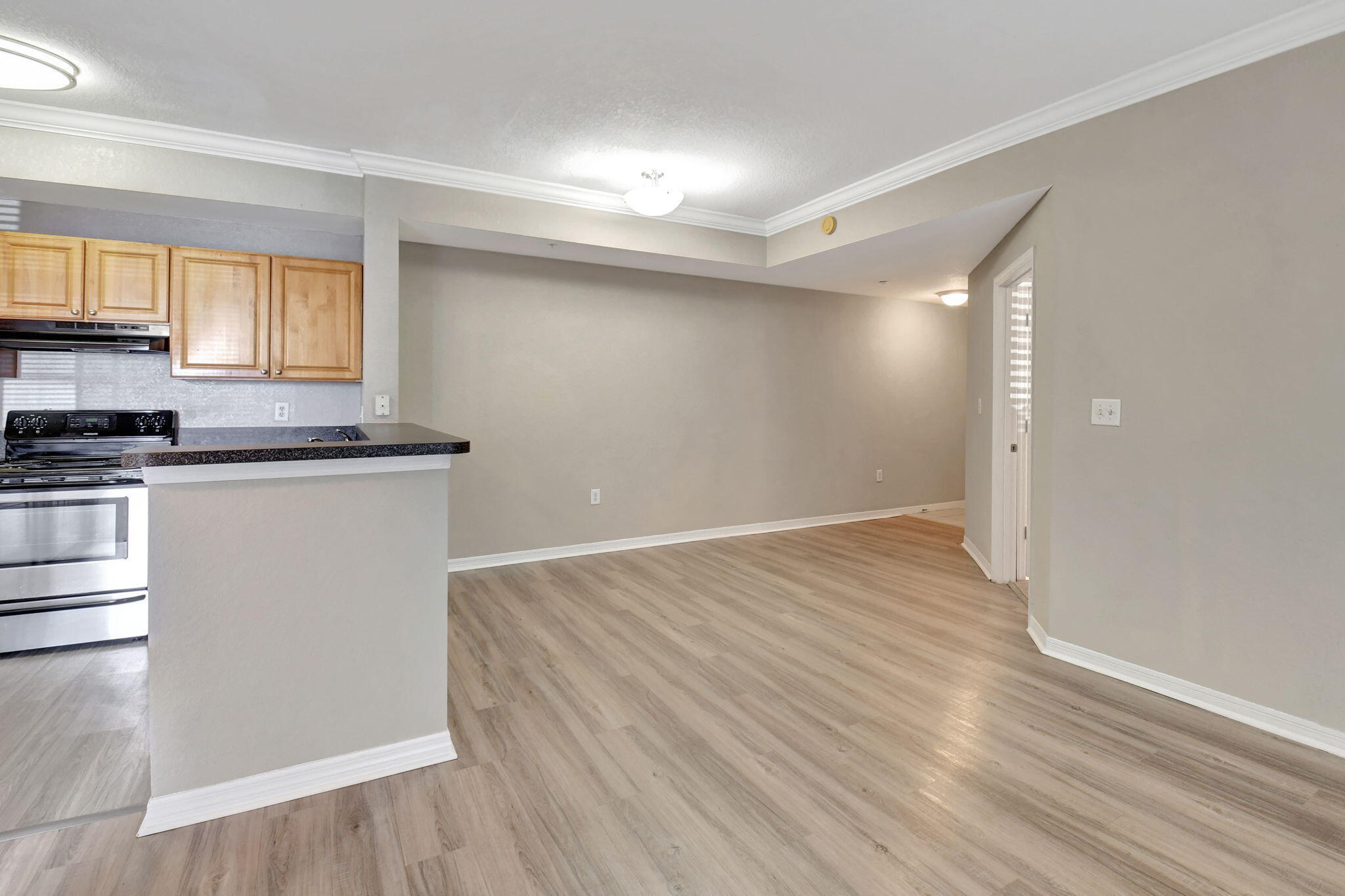 15105 Michelangelo Boulevard 105