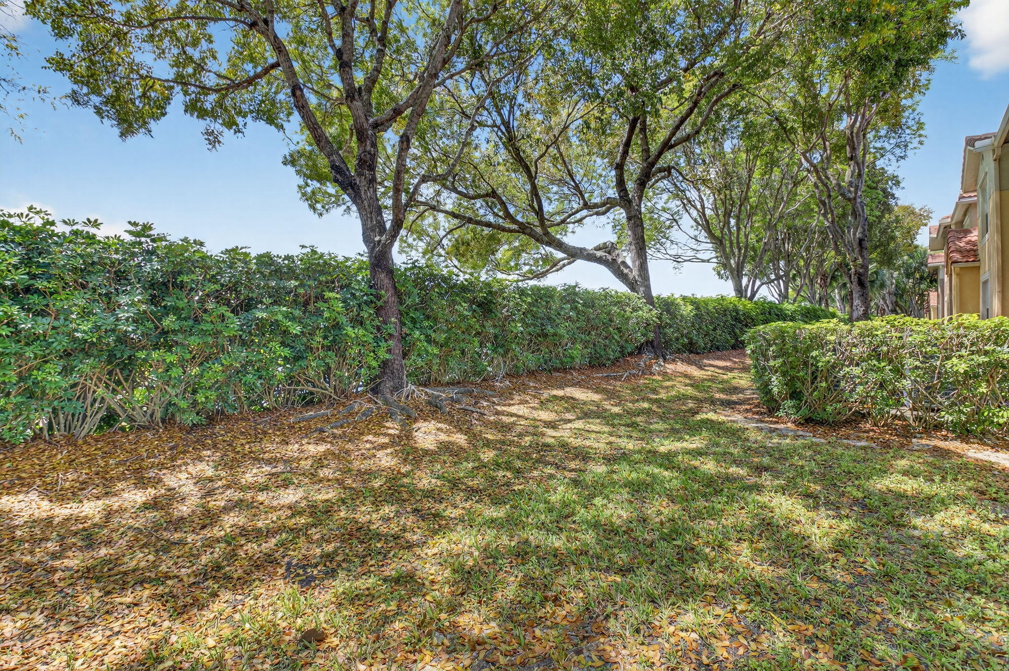 15165 Michelangelo Boulevard 104