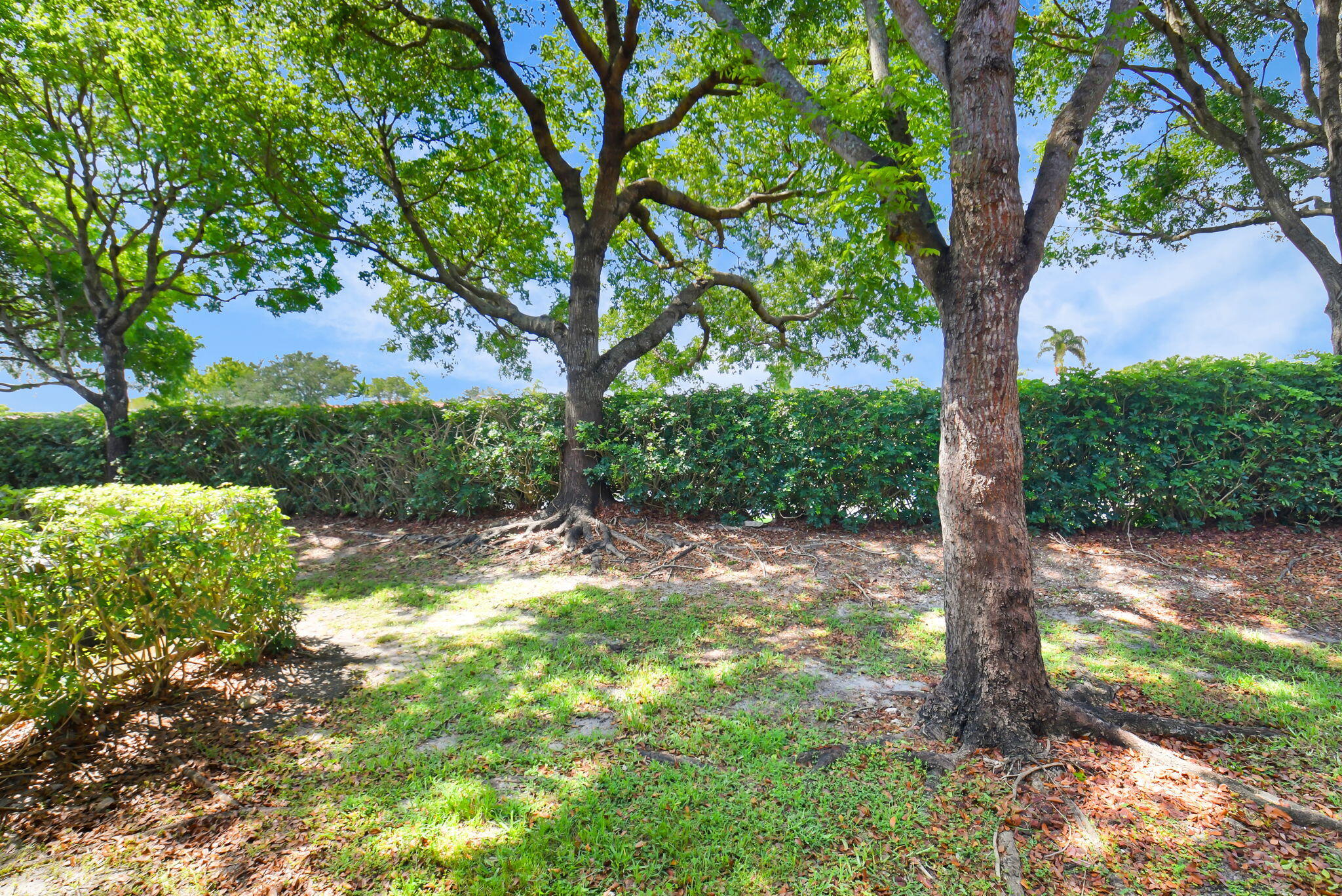 15165 Michelangelo Boulevard 106