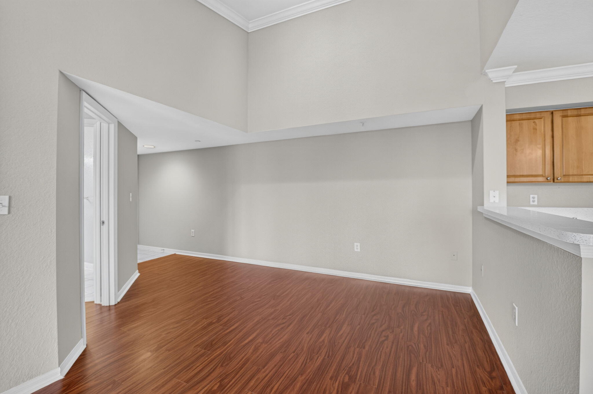 15135 MICHELANGELO Boulevard 303