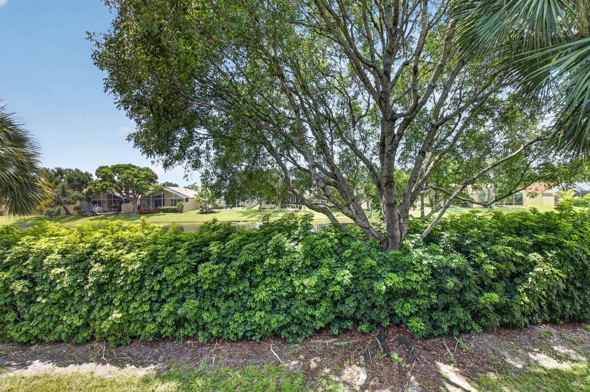 15125 Michelangelo Boulevard 202