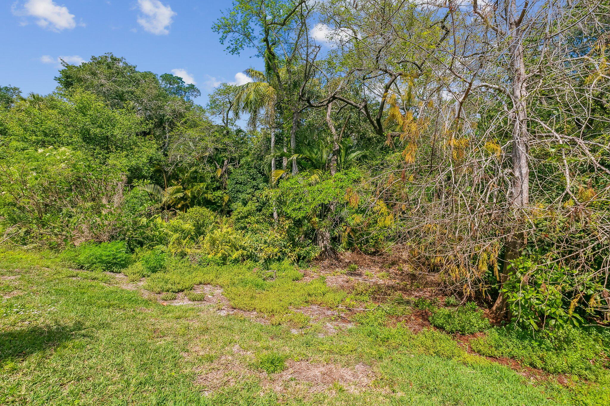 4787 Preserve Drive