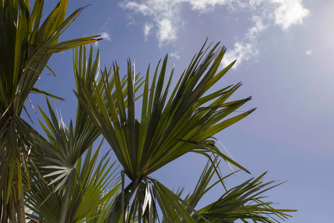 337 S Swinton Avenue