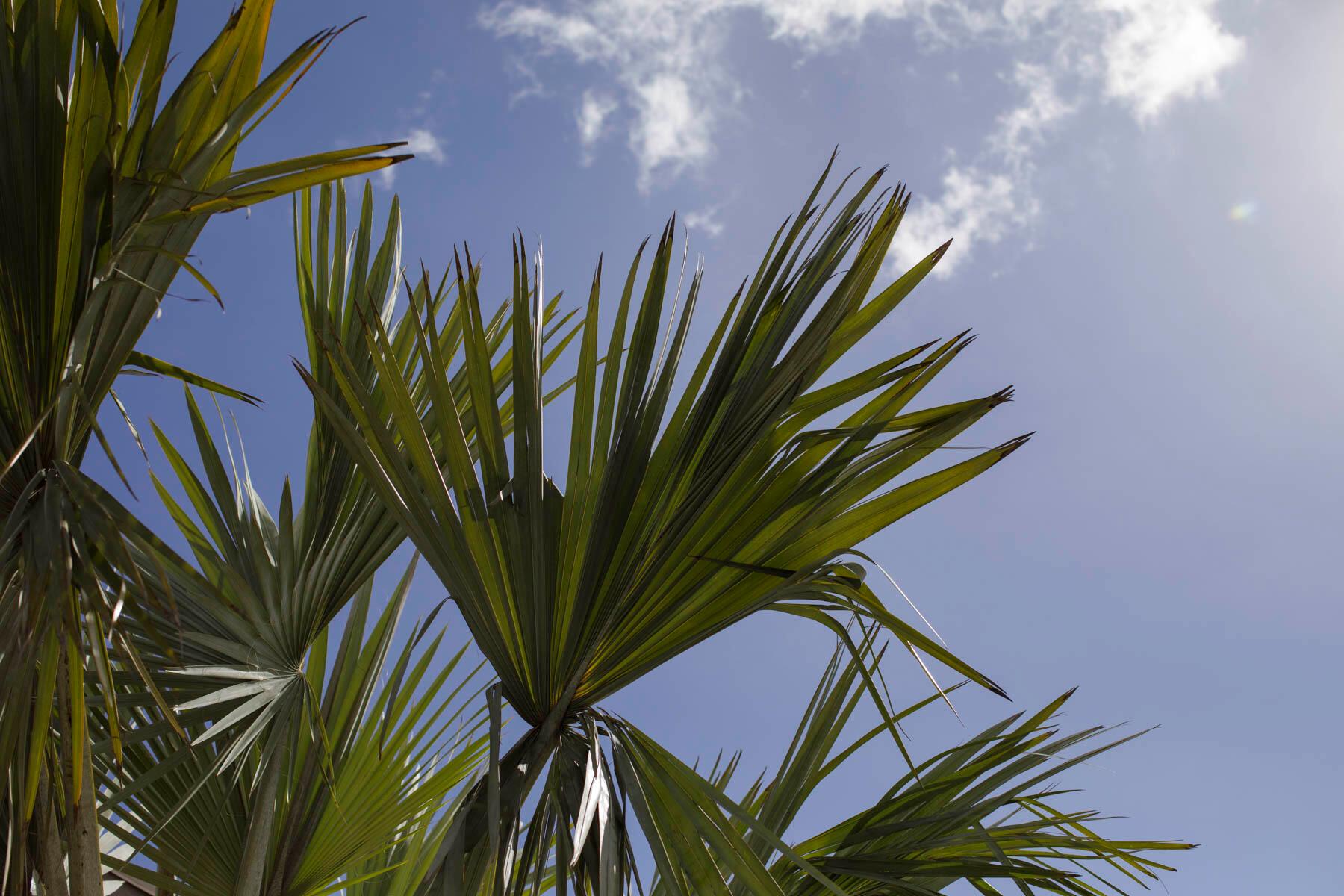 337 S Swinton Avenue