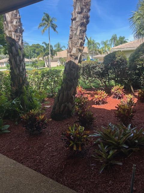 4840 Pine Tree Drive