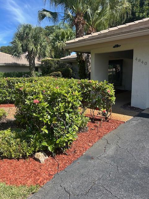 4840 Pine Tree Drive