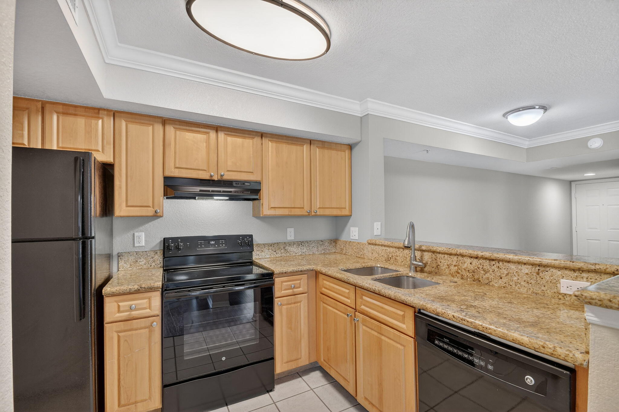 15155 Michelangelo Boulevard 205