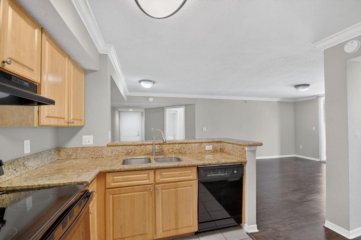 15155 Michelangelo Boulevard 205