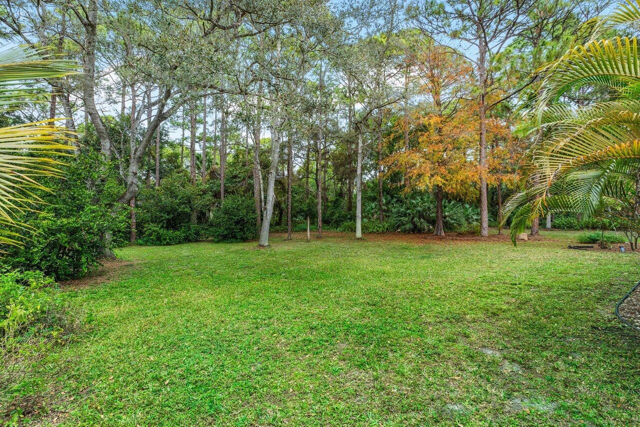 13089 Persimmon Boulevard