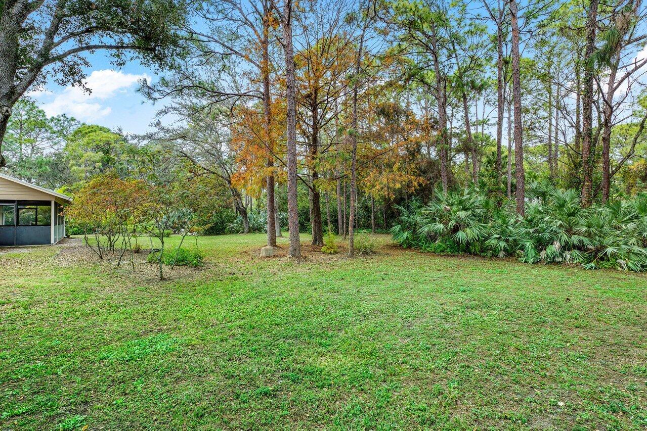 13089 Persimmon Boulevard