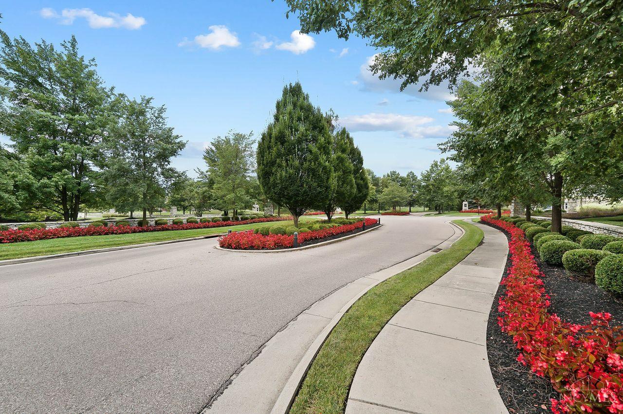 8337 Verbena Lane