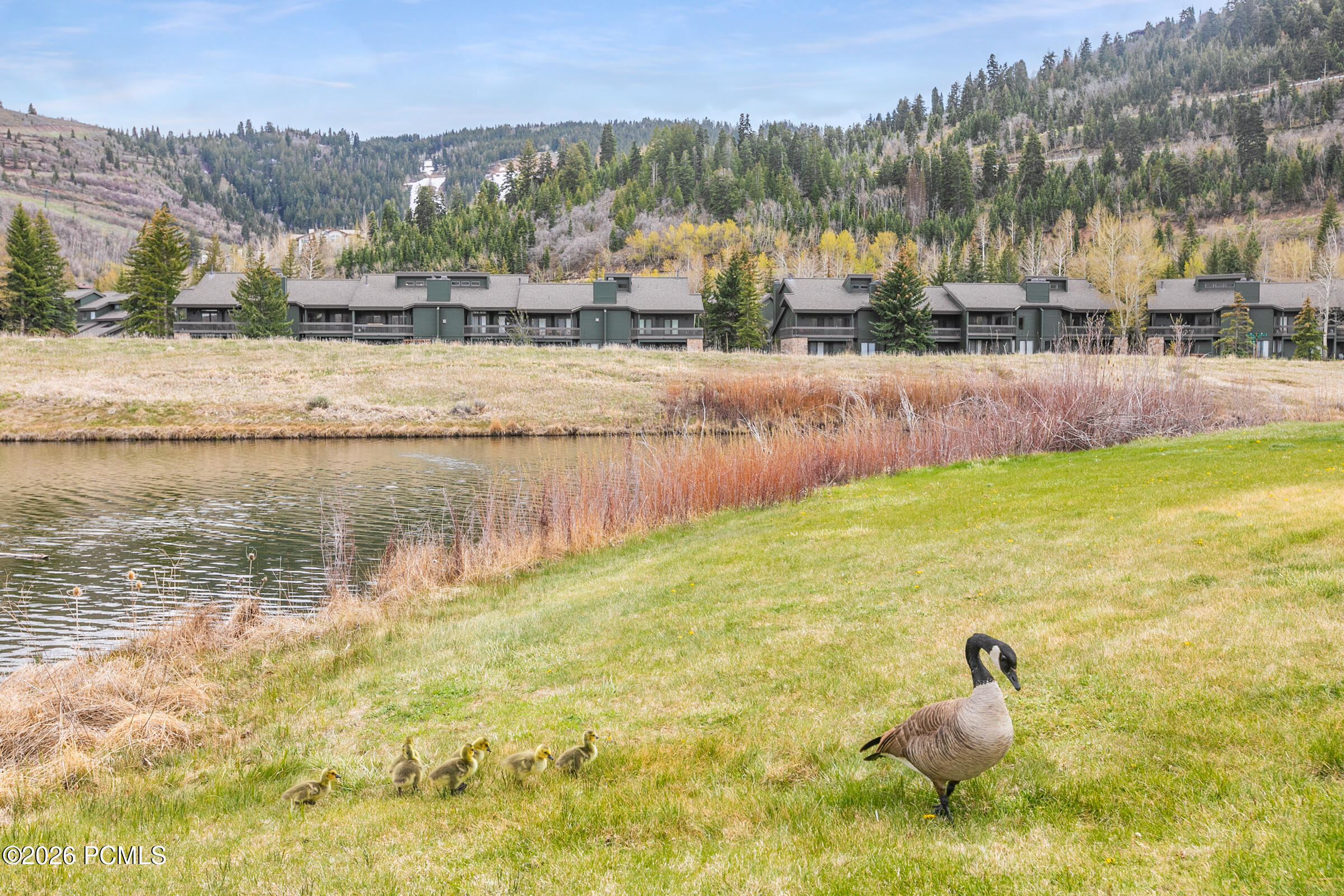 1516 Deer Valley Drive 25
