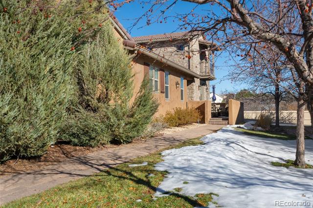3764 Palazzo Grove