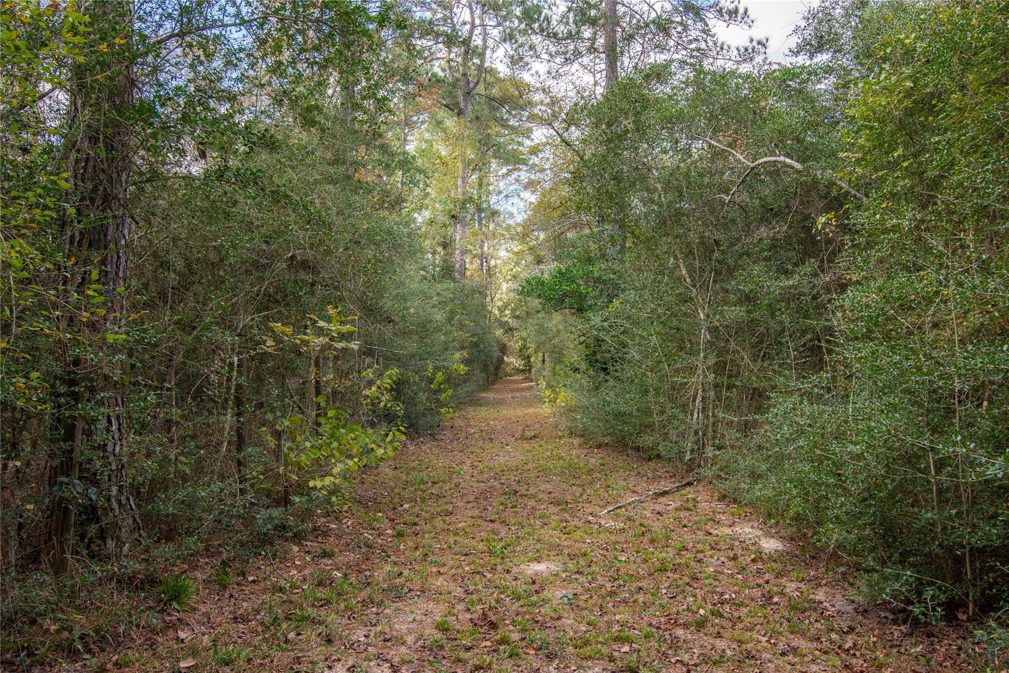 1080 Hill Road